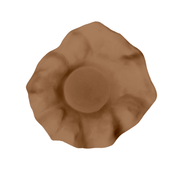 PLATOMAREA25X4