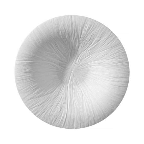 SU2405-00406KTTK788554-fiord-pasta-plate-290-mm-white-1