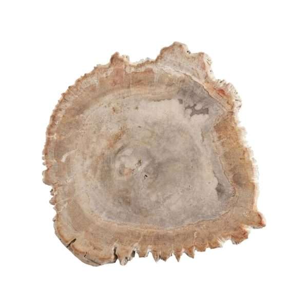 petrificada 26-gigapixel-standard-scale-2_00x