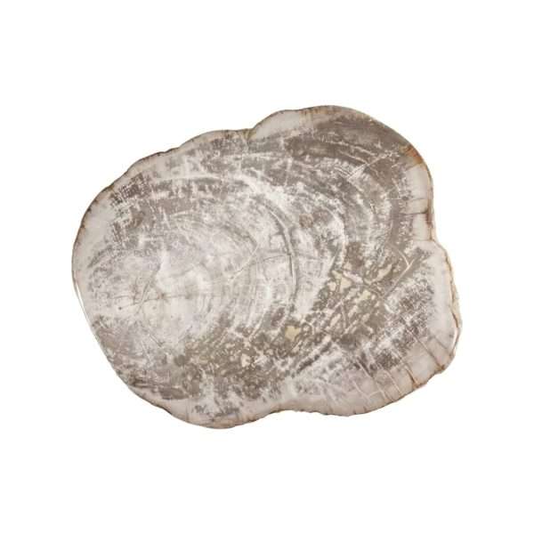 petrificada 36-gigapixel-standard-scale-2_00x
