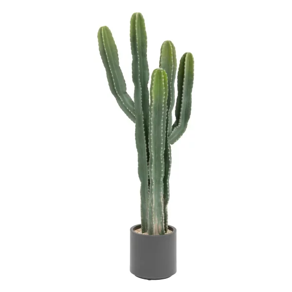 SU2409-00433KTTK3560232735257_198121-cactus_11zon