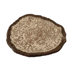 ARTESANIA CONCHA 24CM MARRON BLANCO MATE