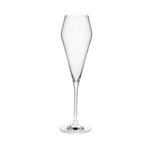 EDYE COPA CHAMPAGNE 22CL