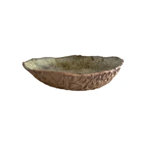 ARTESANO RAÍZ PLATO TEXTURA FUERA ESMALTE MATE VERDE 23CM