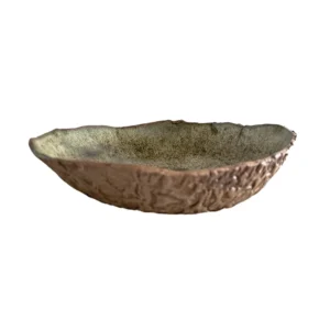 ARTESANO RAÍZ PLATO TEXTURA FUERA ESMALTE MATE VERDE 26CM