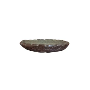 ARTESANO RAÍZ CONCHA PLATO TEXTURA FUERA ESMALTE MATE VERDE 13CM