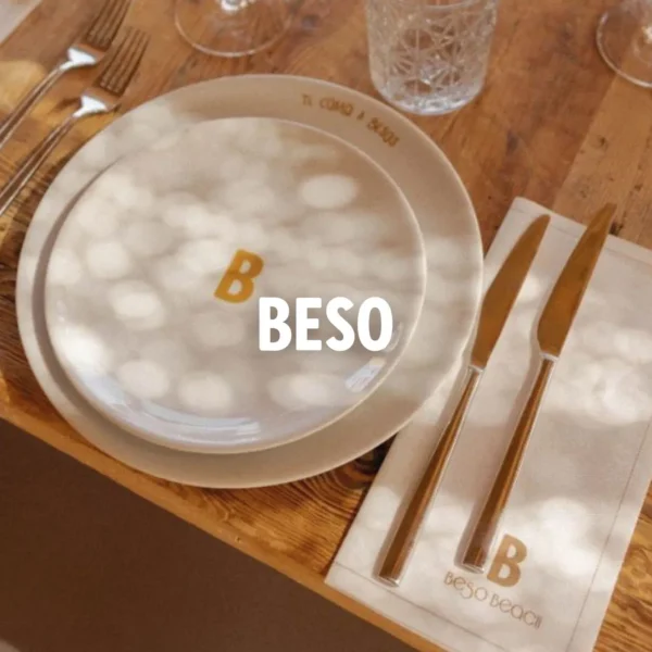 BESO2
