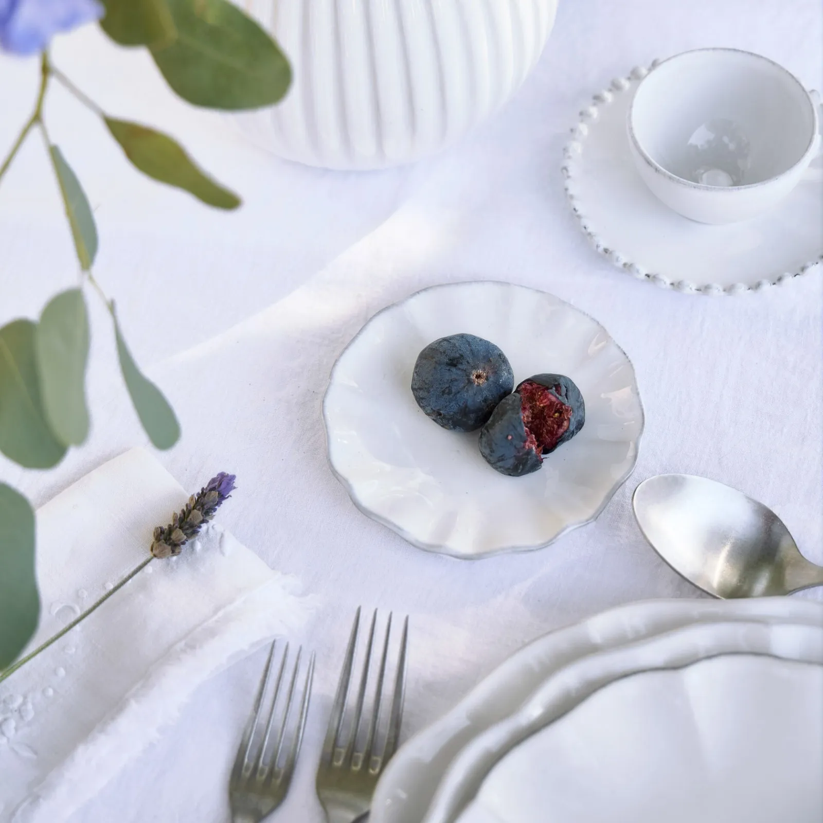 WhatsApp Image 2026-01-08 at 14.25.15_11zon