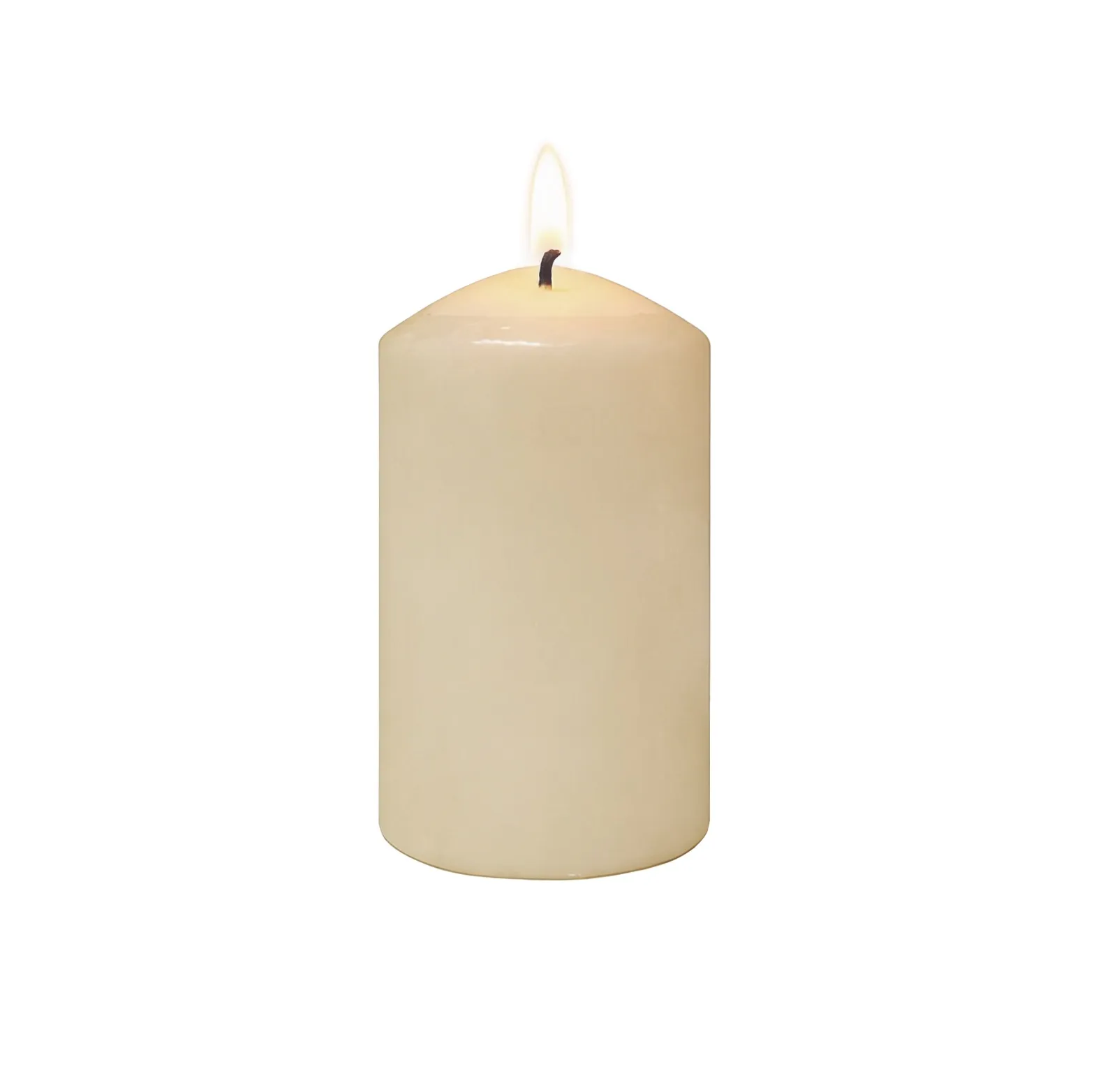 WhatsApp Image 2026-02-25 at 16.09.09_11zon