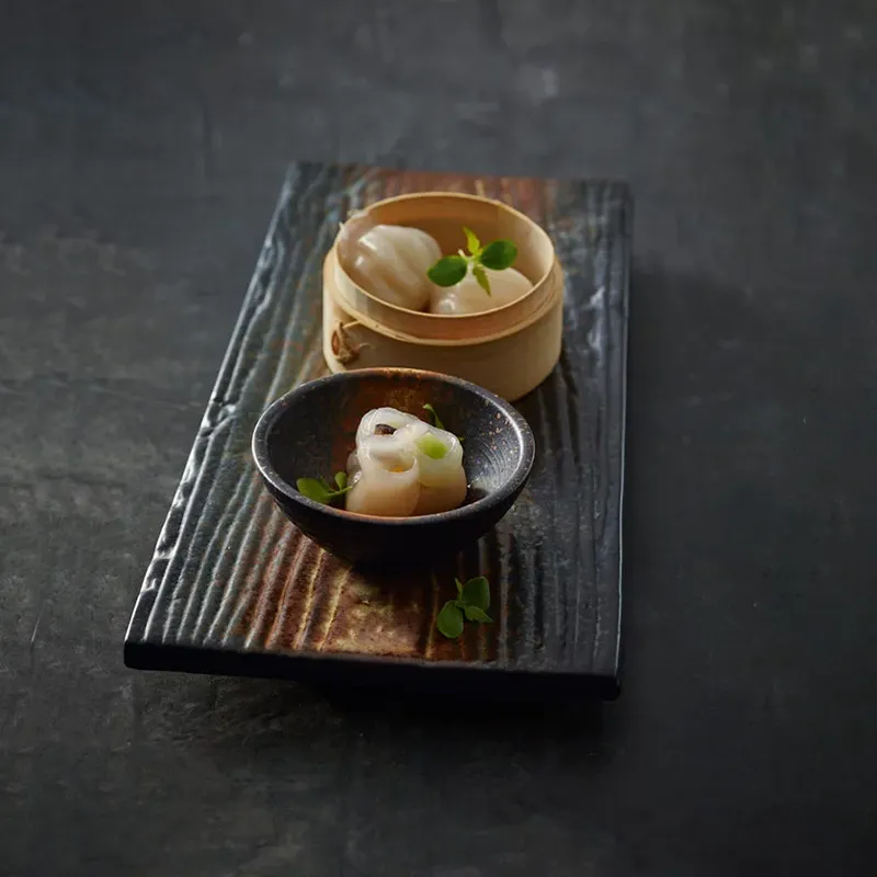 SU2504-00466KTTK000701213691000565varant2_11zon