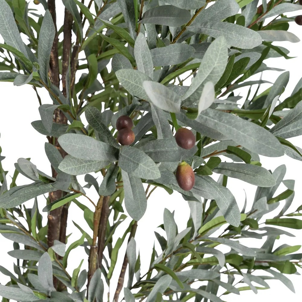 SU2510-00508KTTK616126VARIANT1