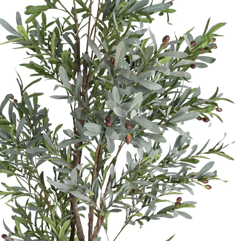 SU2510-00508KTTK616126VARIANT2