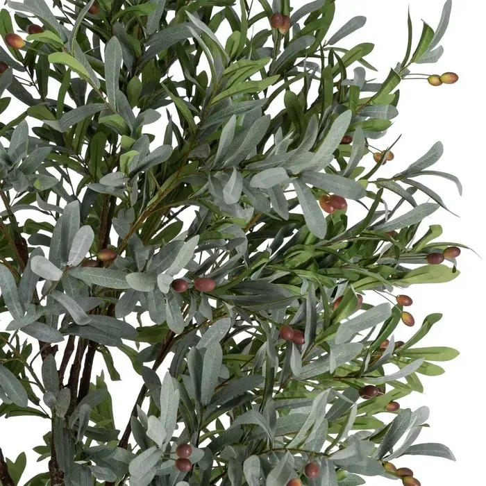 SU2510-00508KTTK616127variant1_11zon