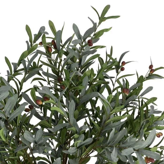 SU2510-00508KTTK616127variant2_11zon