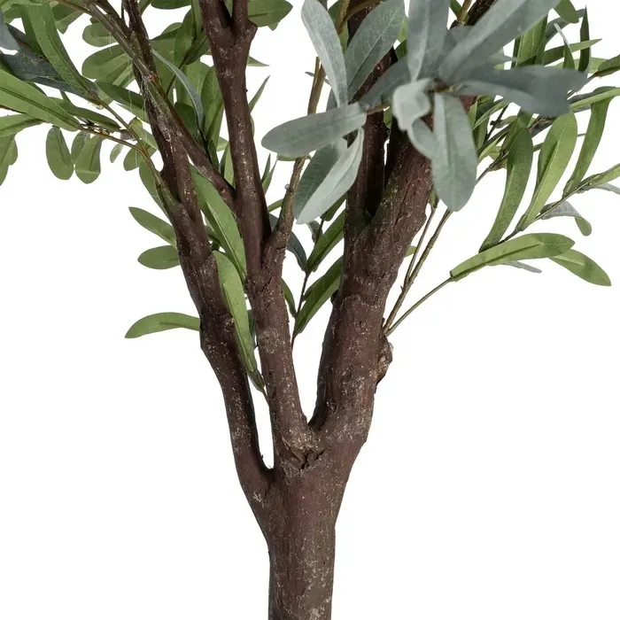 SU2510-00508KTTK616127variant3_11zon