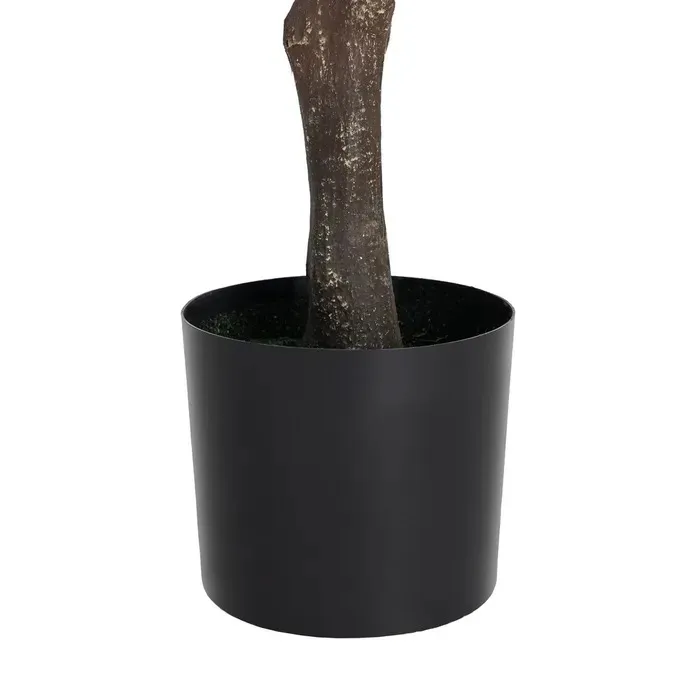 SU2510-00508KTTK616127variant4_11zon