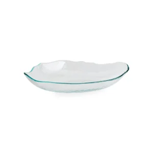 ORGÁNICO FUENTE OVAL IRREGULAR VIDRIO 34X18X H5CM